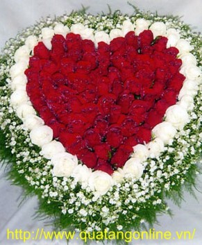 Hoa hồng trái tim HT117